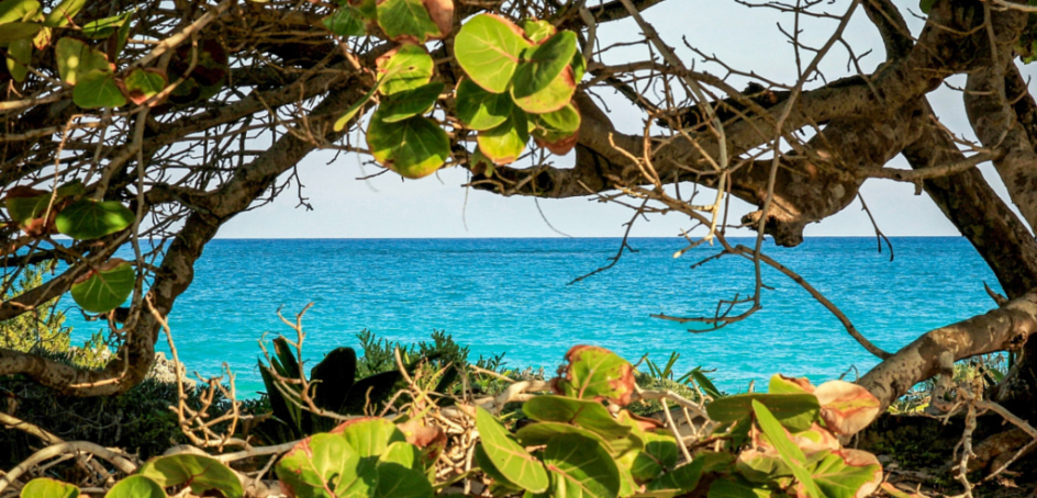 30 Most Photographed Beaches In The Caribbean