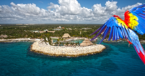 Xcaret Plus Playacar 