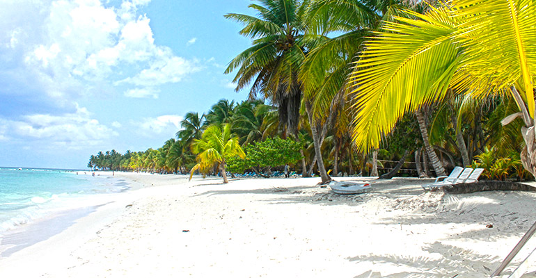 saona island