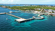 Swim With Dolphins at Riviera Maya