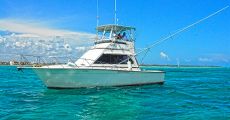 Tour Deep Sea Fishing Tour - 6 hrs Shared in Cancun, Mexico