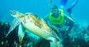 Snorkeling Mayan Adventure