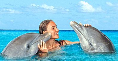 Dolphin Royal Swim  From Puerto Aventuras