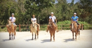 Horseback Riding