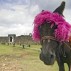 Historical Places To Visit In Dominican Republic.