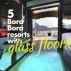 5 Bora Bora resorts with glass floors